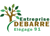 Entreprise DEBARRE Elagage 91